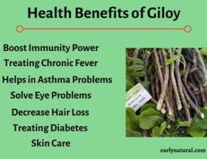 Health Benefits of Giloy