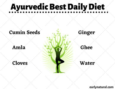 Ayurvedic best daily diet