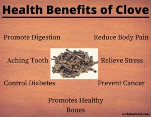 Health Benefits of Clove