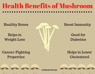 Health Benefits of Mushroom