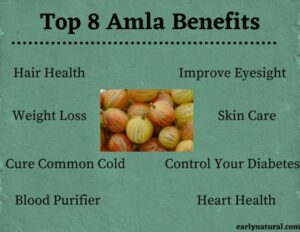 Health Amla Benefits