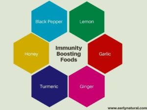 Immunity Boosting Foods
