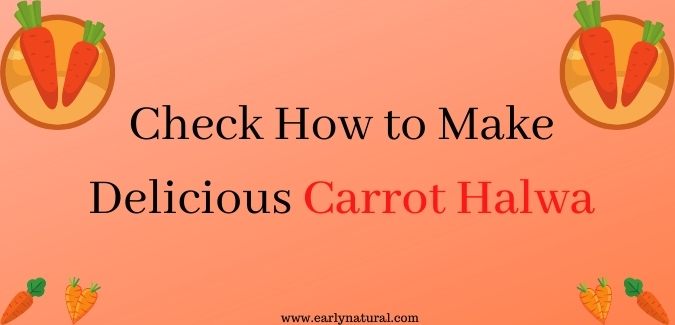 Read more about the article How to Make Delicious Carrot Halwa by Your Own Hands