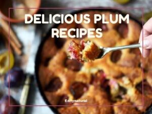 plum recipes