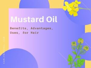 Read more about the article Mustard Oil Benefits, Uses, for Hair, and Advantages