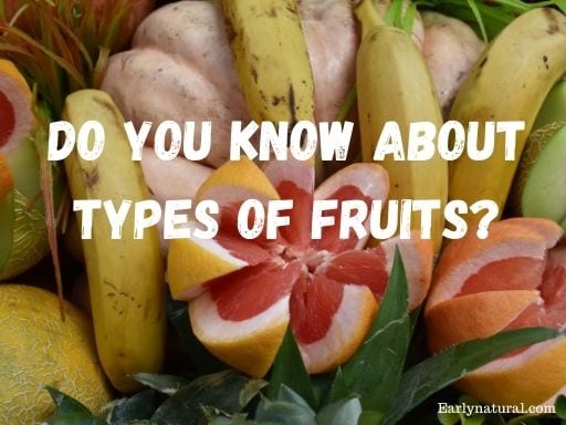 Types of Fruits