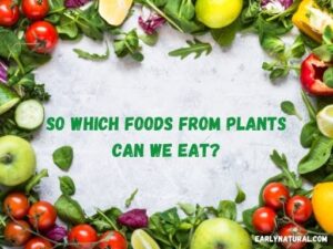 food from plants