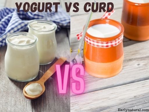 yogurt vs curd