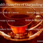 Top 6 Health Benefits of Darjeeling Tea