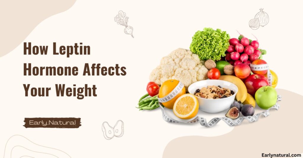 Leptin Hormone Affects